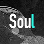 soul免费下载app